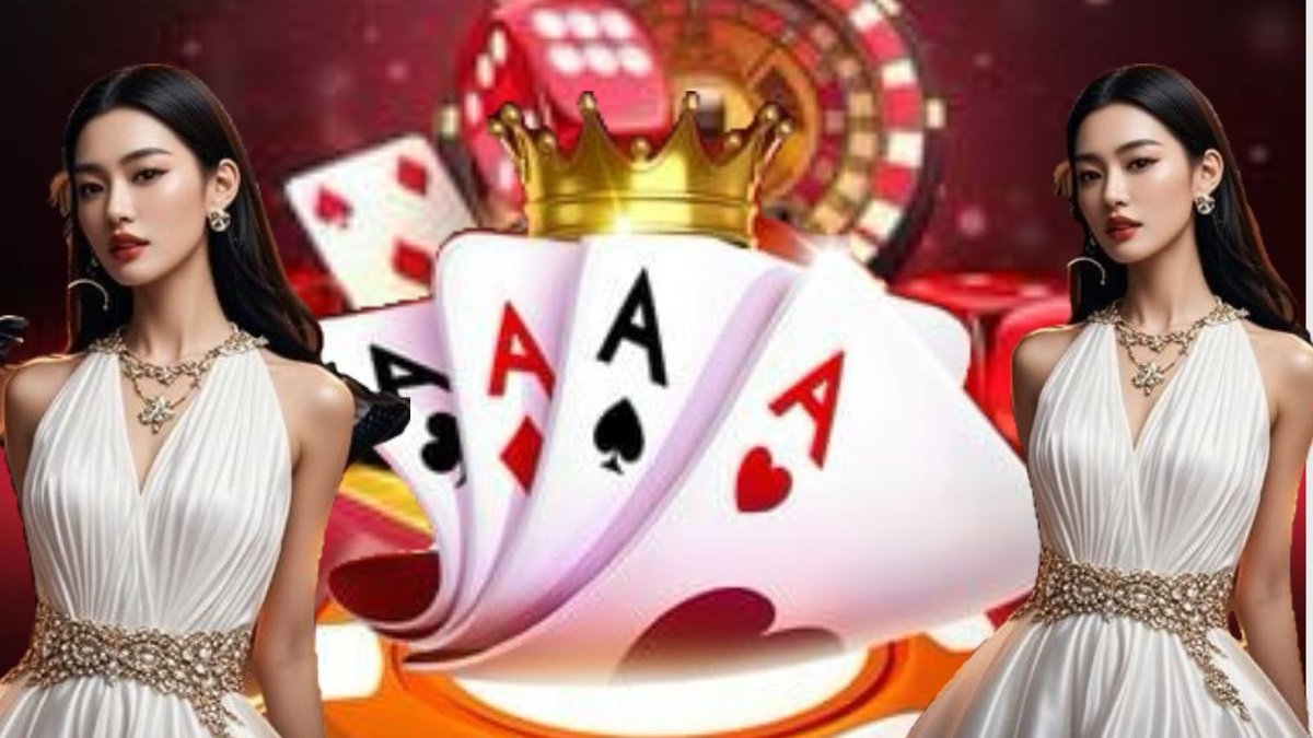 shwe apk စတင်အသုံးပြုနည်း
